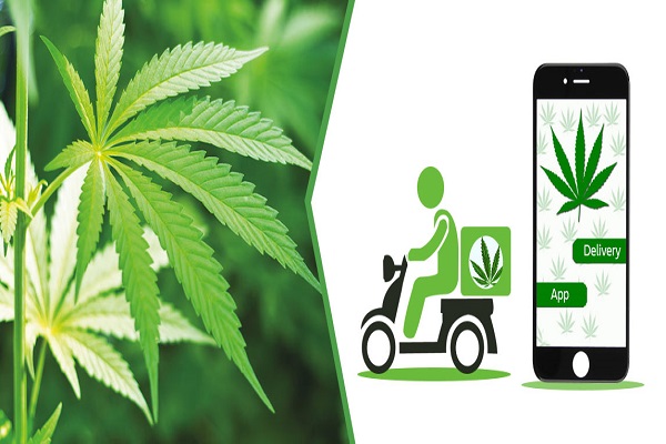 Want To Open A Marijuana Delivery Service? Here Is The Important Thing You Should Check Out.