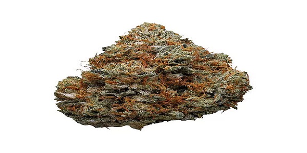 Ak-47 Strain: Potent Cannabis Seeds With a Delightful Taste