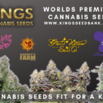 UK cannabis seedbank